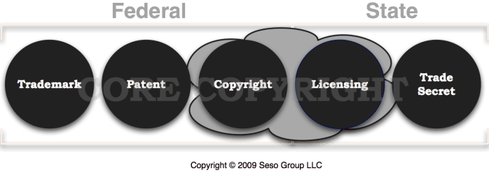 Forms of Intellectual Property Intellectual Property